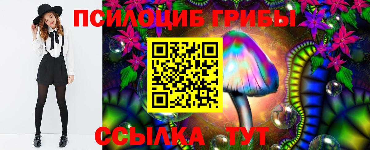 Галлюциногенные грибы прущие грибы  Вход с VPN  Ревда 