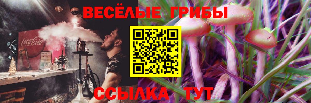 Галлюциногенные грибы Psilocybine cubensis Ревда
