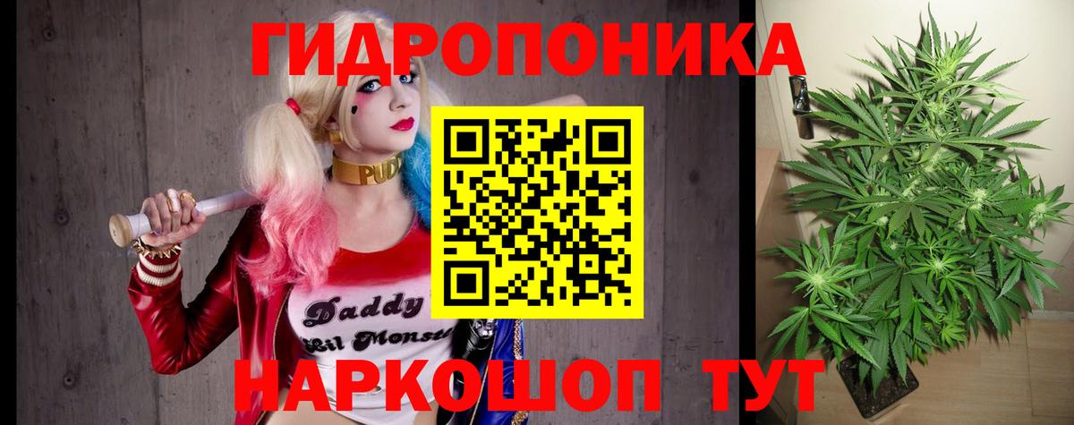 Каннабис Amnesia  Шишки марихуана сатива  Вход с VPN  Каннабис Amnesia  Канабис индика  Ревда 